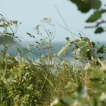 Ferienbauernhof Liesenberg Foersterhaus Buschwindroeschen 度假居