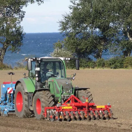 Ferienbauernhof Liesenberg Foersterhaus Buschwindroeschen Fehmarn