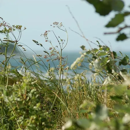 Ferienbauernhof Liesenberg Foersterhaus Buschwindroeschen Nyaraló