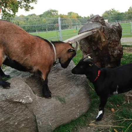 Ferienbauernhof Liesenberg Foersterhaus Buschwindroeschen Fehmarn