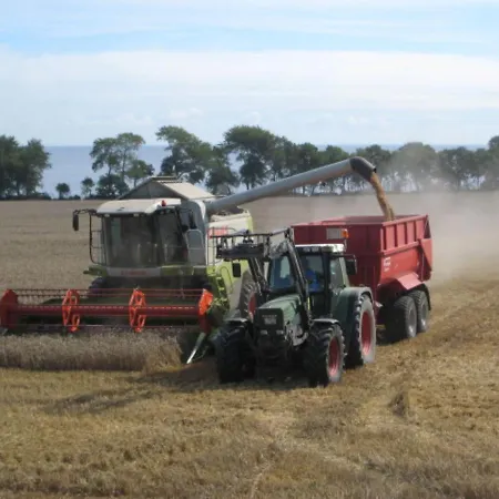 Ferienbauernhof Liesenberg Foersterhaus Buschwindroeschen