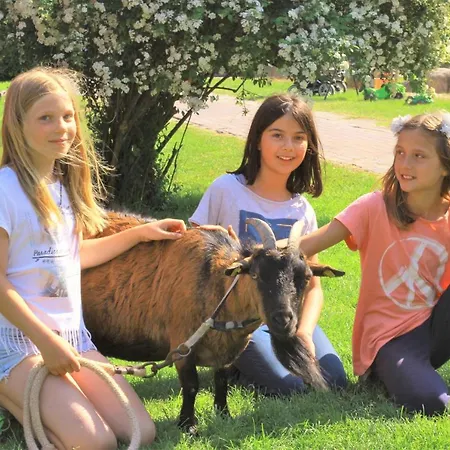 Ferienbauernhof Liesenberg Foersterhaus Buschwindroeschen Tatil Evi