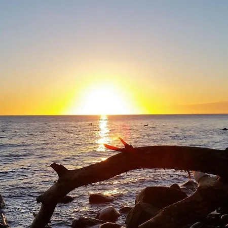 Ferienbauernhof Liesenberg Foersterhaus Buschwindroeschen * Fehmarn