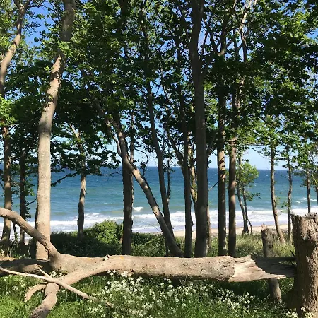 Ferienbauernhof Liesenberg Foersterhaus Buschwindroeschen