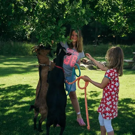 Ferienbauernhof Liesenberg Foersterhaus Buschwindroeschen *