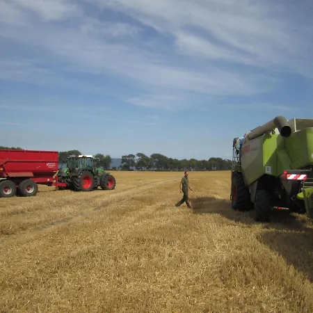 Casa vacanze Ferienbauernhof Liesenberg Foersterhaus Buschwindroeschen *
