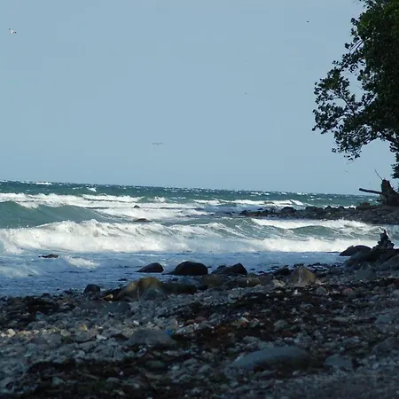 Ferienbauernhof Liesenberg Foersterhaus Buschwindroeschen Fehmarn