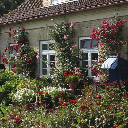 Ferienbauernhof Liesenberg Foersterhaus Buschwindroeschen *