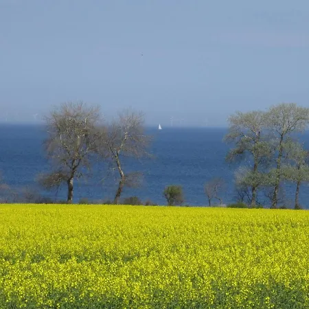 Дом отдыха Ferienbauernhof Liesenberg Foersterhaus Buschwindroeschen