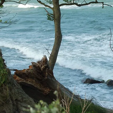 別荘 Ferienbauernhof Liesenberg Foersterhaus Buschwindroeschen