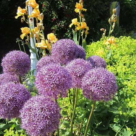 Ferienbauernhof Liesenberg Foersterhaus Buschwindroeschen 別荘 フェーマルン