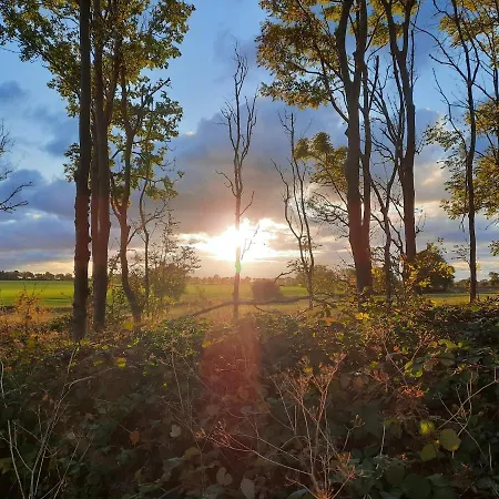 Ferienbauernhof Liesenberg Foersterhaus Buschwindroeschen